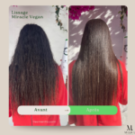Résultat d un lissage protéine Vegan Milla L