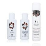 Kit Lissage Brésilien Botox Miracle Babaçu 120 Ml - Cheveux Fragilisés, Colorés + Shampoing Babaçu & Pracaxi